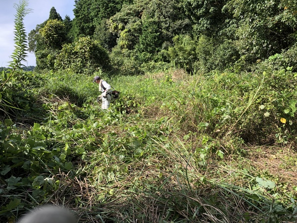 荒れ地の開墾を開始しました！サムネイル