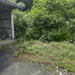今日はお客様の土地の現地調査に参りました！サムネイル