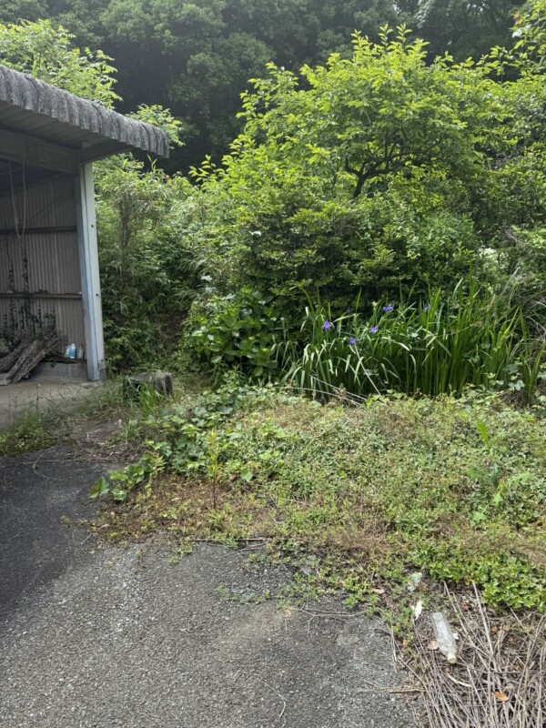 今日はお客様の土地の現地調査に参りました！サムネイル