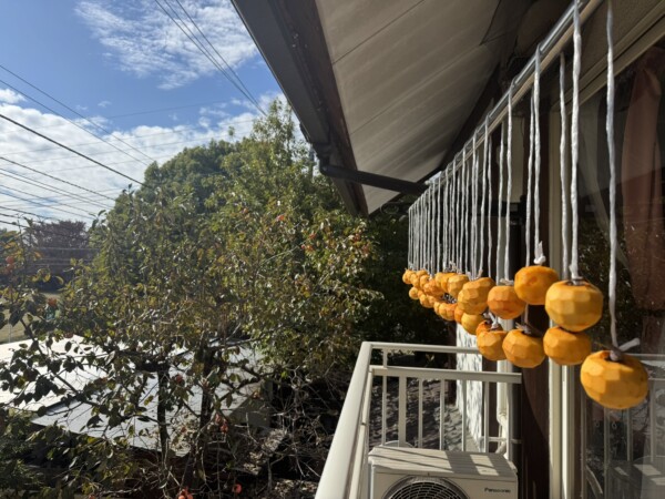 自然の恵み・・・干し柿造り！！サムネイル